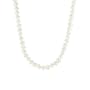 14k Yellow Gold 7.5-8mm White Freshwater Cultured AA Quality Pearl Necklace, 20"