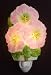 Hollyhocks Night Light Ibis and Orchid Flowers of Light Collection