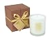 Isola Luce Cabernet & Raspberry Leaves Candle - Medium