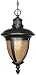 Nuvo 60-2521 1 Light Galeon Es Hanging Lantern With Tobago Glass (Lamp Included) Old Penny Bronze