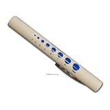 from Bargain Price Very Good Quality Penlight at a Less Than Cost Price Pack of 2 Pen Lights