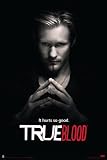 True Blood Poster 24x36 Eric Northman Hurts Good People Poster Print, 24x36 Poster Print, 24x36