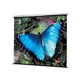 Draper V Screen Manual Projection Screen - 70 x 70 - Matte White - 99 Diagonal