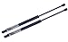 Tuff Support 2 Pieces (Set) Rear Glass Lift Supports 1998 To 2002 Lincoln Navigator, 1997 To 2002 Ford Expedition