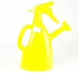 Indoor Watering Can With Plant Spray Top (GG3521)