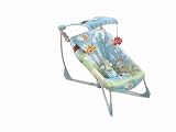 Fisher-Price Soothe and Go Bouncy Seat