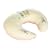 Widgey Nursing Pillow Cover