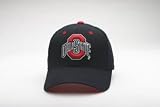 Men`s Ohio State Buckeyes Black DHS Zfit Cap
