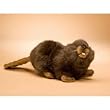 Baby Beaver Stuffed Animal Plush Toy 6.5"L by Hansa
