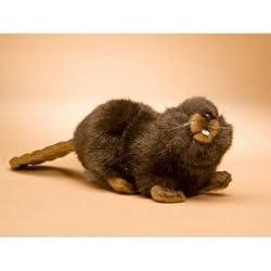 Baby Beaver Stuffed Animal Plush Toy 6.5"L by Hansa