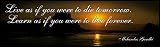 Live as if you were to die tomorrow. Learn as if you were to live forever.