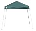 Outdoor Living : Bravo Sports Quik Shade Weekender 64 Canopy,Oregon Green Canopy