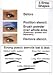 Eyebrowz Stencils to Darken and Shape with Wallet - Includes 5 Brow Shapes