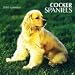 cocker_spaniel2cocker spaniel - Cocker Spaniels 2010 Wall Calendar