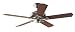 Electronics : Hunter 23685 Royal Oak Remote Control Antique Pewter Traditional Ceiling Fan 60