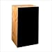 Sound Craft SP820 - M Sound-Craft Systems Foreground Speakers Wood Finish: Natural Mahogany