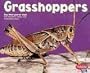 Grasshoppers (Bugs Bugs Bugs)