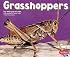 Grasshoppers (Bugs, Bugs, Bugs)