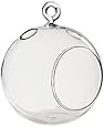 WGV Glass Hanging Plant Terrarium/Votive Holder, 4.5"