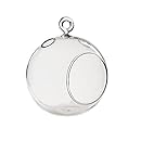 WGV Glass Hanging Plant Terrarium/Votive Holder, 4.5"