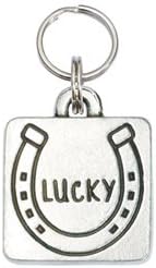 Square Pet Id Tag - Lucky Horse Shoe