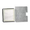 Simplicity S Class HEPA and Charcoal Vacuum Filter Set SF-I3