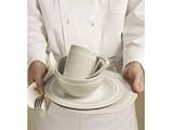 Emeril Professional 4-Piece Place Setting Adobe Clay