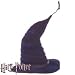 Madame Hooch Hat
