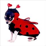 31IOfJL93xL. SL160  Adorable Ladybug Pet Costume ~ Perfect for Halloween and Other Dog Events ~ S...
