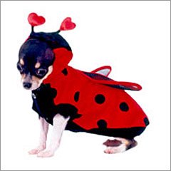 Adorable Ladybug Pet Costume ~ Perfect for Halloween 