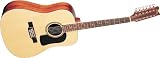 Washburn D10 Series 12 String Acoustic Guitar