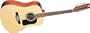 Washburn D10 Series 12 String Acoustic Guitar