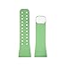 LifeTrak Reversible/Interchangeable ComfortFit Band, White Pistachio