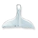 Sterling Silver Whale Tail Slide with 20 inch Sterling Silver Chain