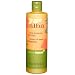 Alba Botanica Hawaiian Mango Body Builder Hair Wash, 12-Ounce Bottle (Pack of 2)
