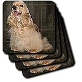 Dogs Cocker Spaniel - Cocker Spaniel - Coasters