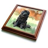 Dogs NewFoundLand - NewFoundLand - Trivets