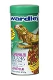 Wardley Corp Juvenile Iguana Diet Large - 01693