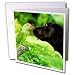 Dogs Labrador Retriever - Just One More KISS - Greeting Cards-12 Greeting Cards with envelopes
