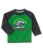 Gymboree "Mountain Explorer Raglan Tee