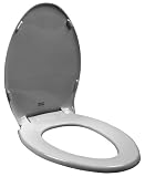 American Standard 5324.019.165 Rise and Shine Elongated Toilet Seat and Cover, Silver