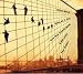 New York Counterpoint Eight Lines/Four Organs