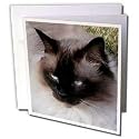 Cats - Siamese Cat - Greeting Cards-12 Greeting Cards with envelopes