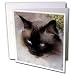 image 25 - Cats Siamese Cat Greeting Cards6 Greeting Cards with