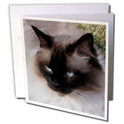 image link - - B000VG75HO