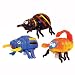 Toys : BUG Wind Up Toy - Creepy Crawlies!