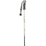 K2 5 Karat Poles Ski Poles - Womens 2009