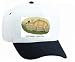 White Cap with deer, duiker, africa, eat, grimmia, antelope, sylvicapra, common, animal