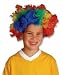 Rainbow Clown Wig