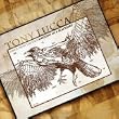 Songs From The DVD Anatomy of a Blackbird